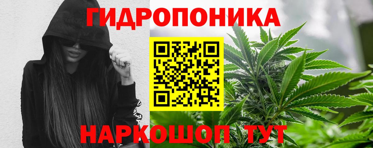 Каннабис VHQ  Бошки Шишки план  Вход с VPN  МАРИХУАНА план  Усолье-Сибирское 